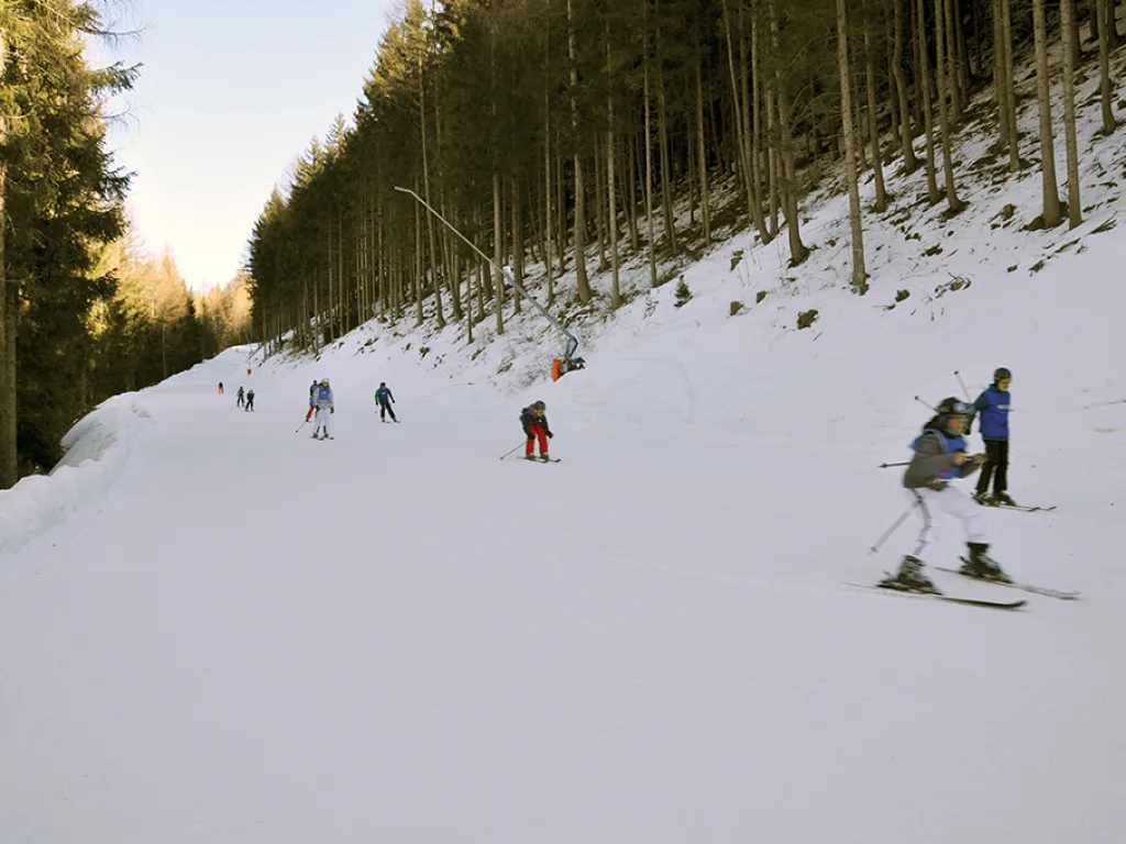 Skifahrende verteilt auf der Waldpiste.